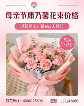 漳州龙海市花店母亲节康乃馨花束