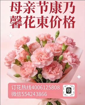 漳州龙海市花店母亲节康乃馨花束